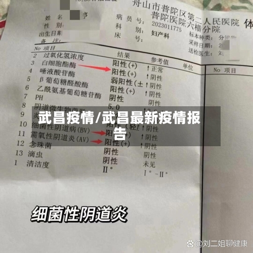 武昌疫情/武昌最新疫情报告