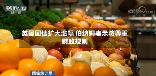 英国国债扩大涨幅 伯纳姆表示将尊重财政规则-第2张图片