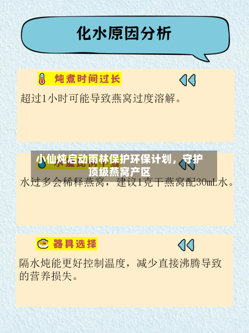 小仙炖启动雨林保护环保计划，守护顶级燕窝产区-第3张图片