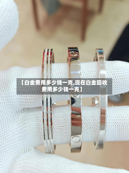 【白金费用多少钱一克,现在白金回收费用多少钱一克】-第2张图片