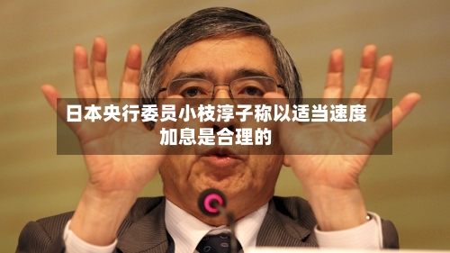 日本央行委员小枝淳子称以适当速度加息是合理的-第2张图片