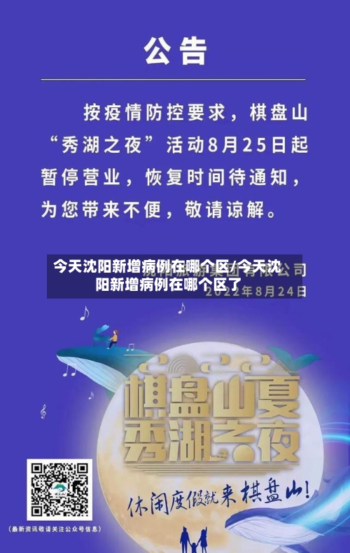 今天沈阳新增病例在哪个区/今天沈阳新增病例在哪个区了-第3张图片