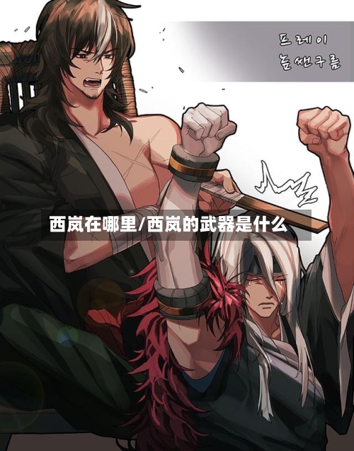 西岚在哪里/西岚的武器是什么