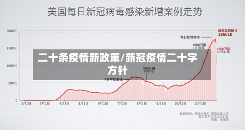 二十条疫情新政策/新冠疫情二十字方针