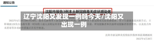 辽宁沈阳又发现一例吗今天/沈阳又出现一例-第3张图片