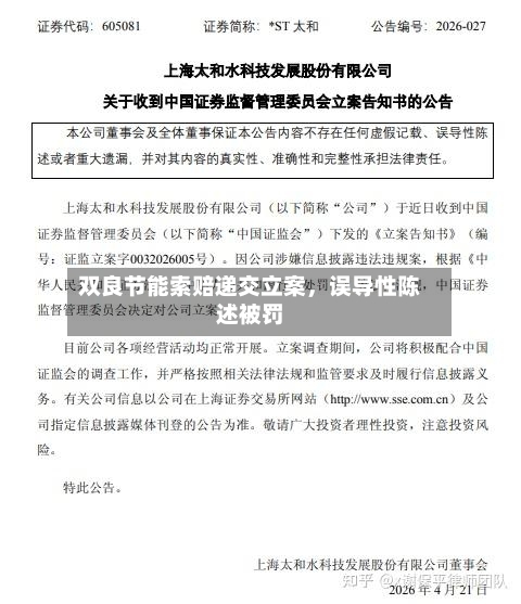 双良节能索赔递交立案，误导性陈述被罚