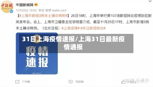 31日上海疫情速报/上海31日最新疫情通报-第2张图片